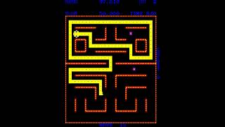 Casual Longplay: Nibbler (Arcade revision 9 version) gameplay session for 1 Player