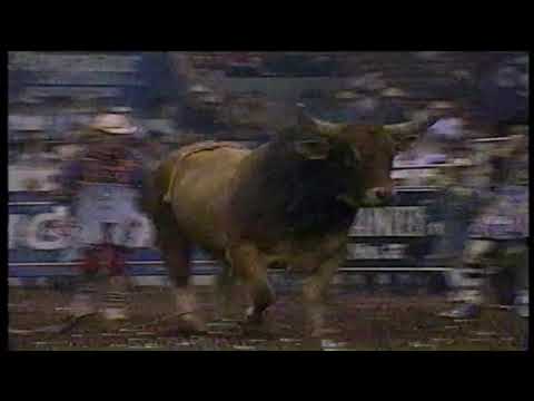 Wooly Bully bucks Gilbert Carrillo - 96 PBR Guthrie