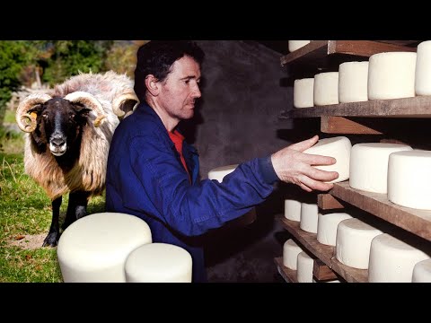 , title : 'El QUESO PASTORIL. Elaboración artesanal con leche fresca de ovejas de raza lacha | Documental'