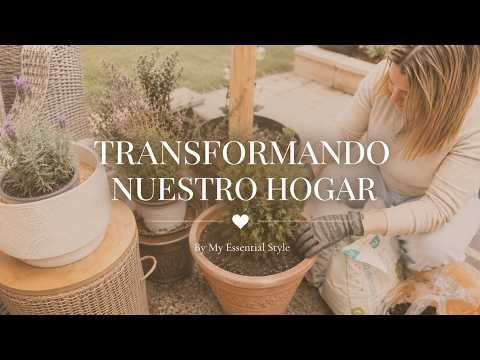 Transformando nuestro hogar✨Reforma, jardín y una nueva zona fire pit. #ollny #ollnystringlights
