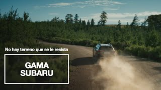 Da la bienvenida al buen tiempo con la Gama Subaru Trailer