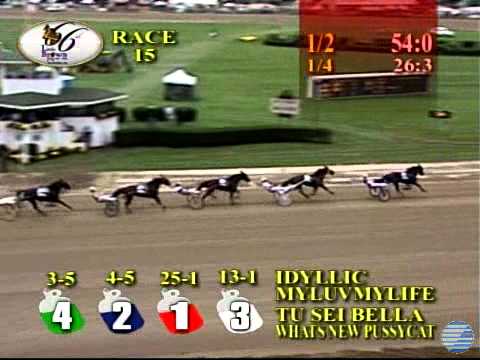 2011 Jugette First Elim - theharnessedge.com