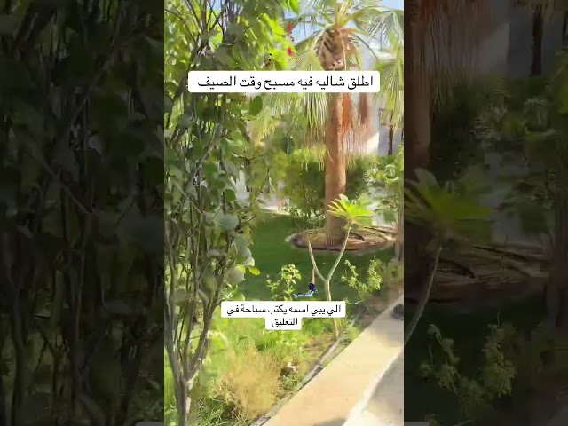 تصوير ugc خارجي