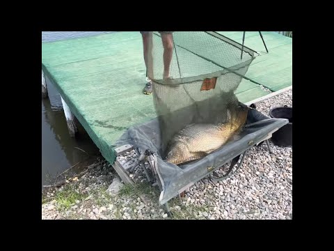 Purcareni Lake PB 19kg 💪