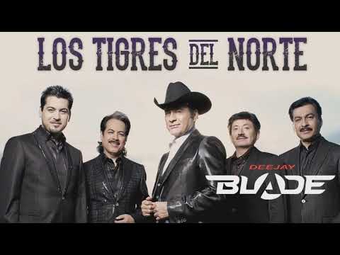 Pacas De A Kilo - La Banda Del Carro Rojo - Los Mal Portados - Dj Blade Pro 2019