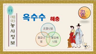 [농사정보] 옥수수의 깡패인 3대 해충은?