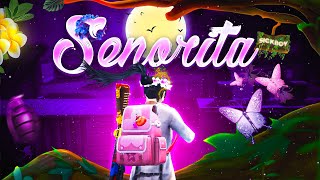 Señorita 😘 PUBG/BGMI 3D Montage  Non Copyright