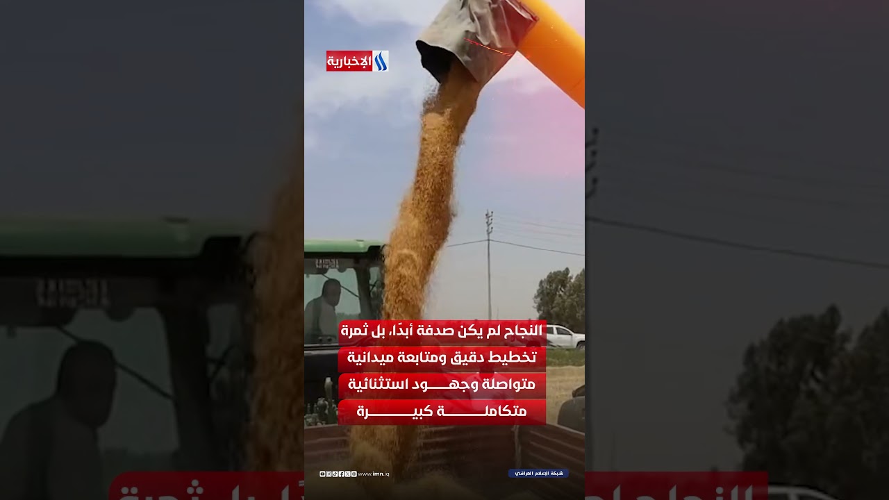 فيديو | سنابل “تاج” تكتب موسمًا استثنائيًا في بغداد