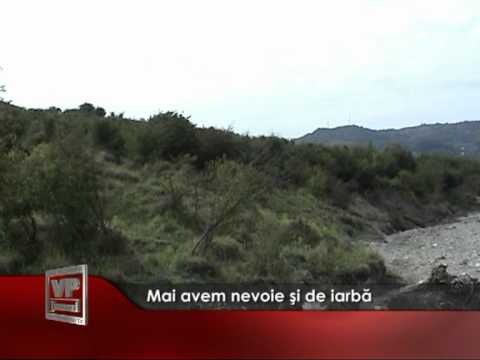 Mai avem nevoie si de iarba