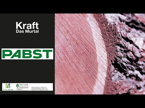 Betriebsvideo: Johann Pabst Holzindustrie ~ Kraft. Das Murtal