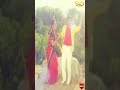 Krishnana Haage Naaneega Video Song Shubha Milana Vishnuvardhan Ambika SVD Golden Songs