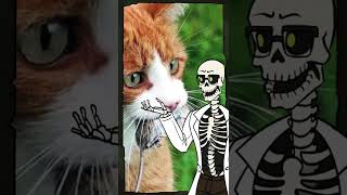 Toxoplasmosis! | Fun Facts with Dr. Bane