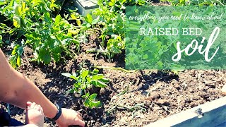 Raised Bed Soil | Everything You Need to Know
