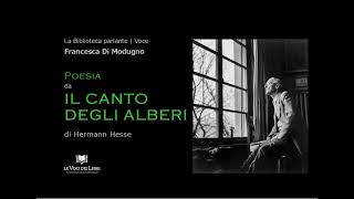 IL CANTO DEGLI ALBERI di Hermann Hesse