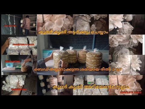 The easiest way to grow mushrooms | How to earn more money from low investment | Mushroom farming