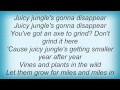 B-52's - Juicy Jungle Lyrics_1