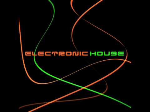 Electronic House #1