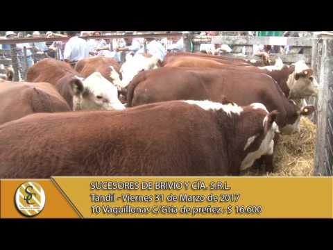 31-03-17 Venta de Vientres - Suc. de Brivio y Cía. S.R.L. - Tandil