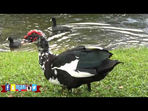 Happy Weekend (3/20/2016)