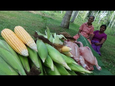 Fresh Corn Chicken Soup prepared in my Village by Grandma | Village Life Video
