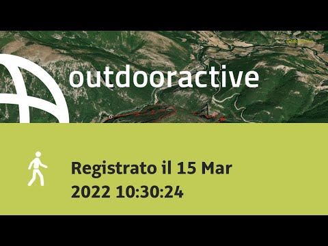 Registrato il 15 Mar 2022 10:30:24