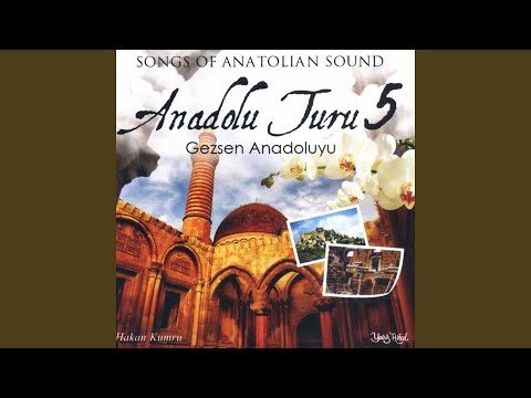 Evlerine Vara Gele Usandım