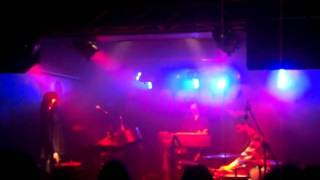 Under land and over sea-Wildbirds &amp; Peacedrums@Magnolia (MI) - 26/04/11