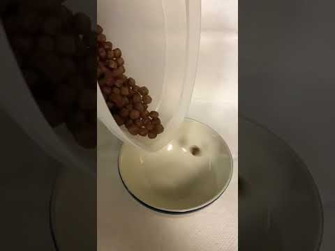 Coco Pops! Kelloggs Cereals