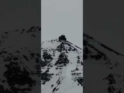 ANDREW DAWSON TIK TOK VIDEO 2