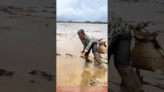 Download lagu U-Fork Eel Capture : Rotational Technique in Coastal Silt mp3