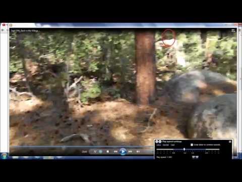 Mark Parra's Audience