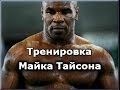 Бокс. Тренировка Майка Тайсона 