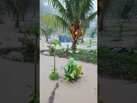 HEAVY RAINFALL CAUSE FLOODING IN JAMAICA PART 3🇯🇲❗