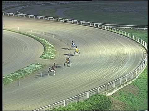 Trotto 18/10/2016 - prova di qualifica