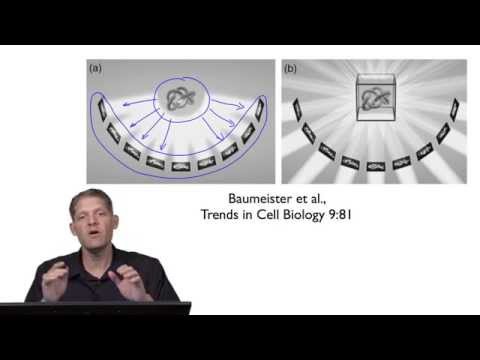 Part 4: 3-D Reconstruction - G. Jensen