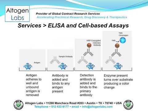 Altogen Labs ELISA and Cell-Based Assay Development Video