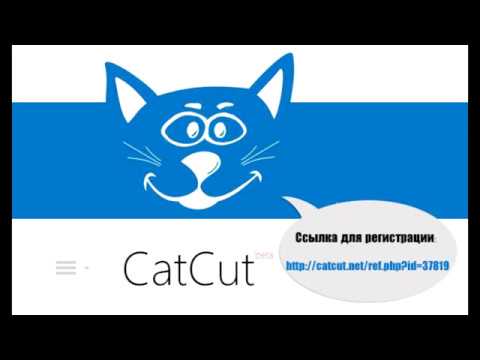 Заработок от 100 рублей в день CatCut + SEO FAST 2019