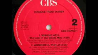 Wishing well (12&#39;&#39;) - TERENCE TRENT D&#39;ARBY  ( DJ  OUIPET )  1987