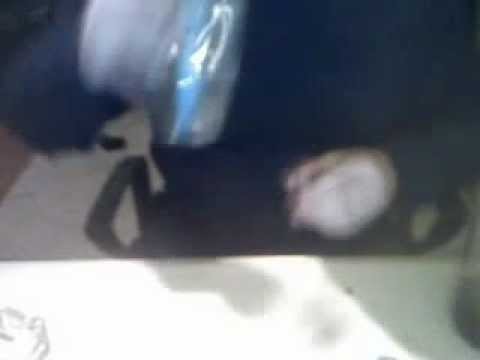 Glavata Majmuncina MC slusa Velar