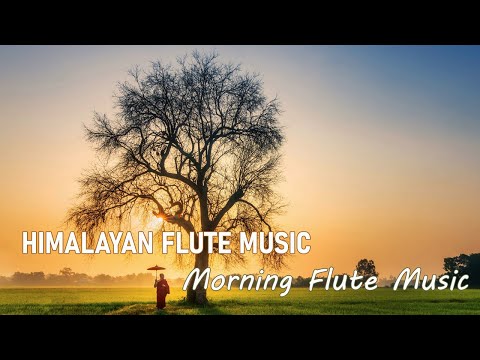 Himalayan Flute Music | Morning Flute Music | Meditation Music | Aparmita (बाँसुरी) Ep. 47