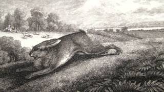 Sproatly Smith - Pretty Saro