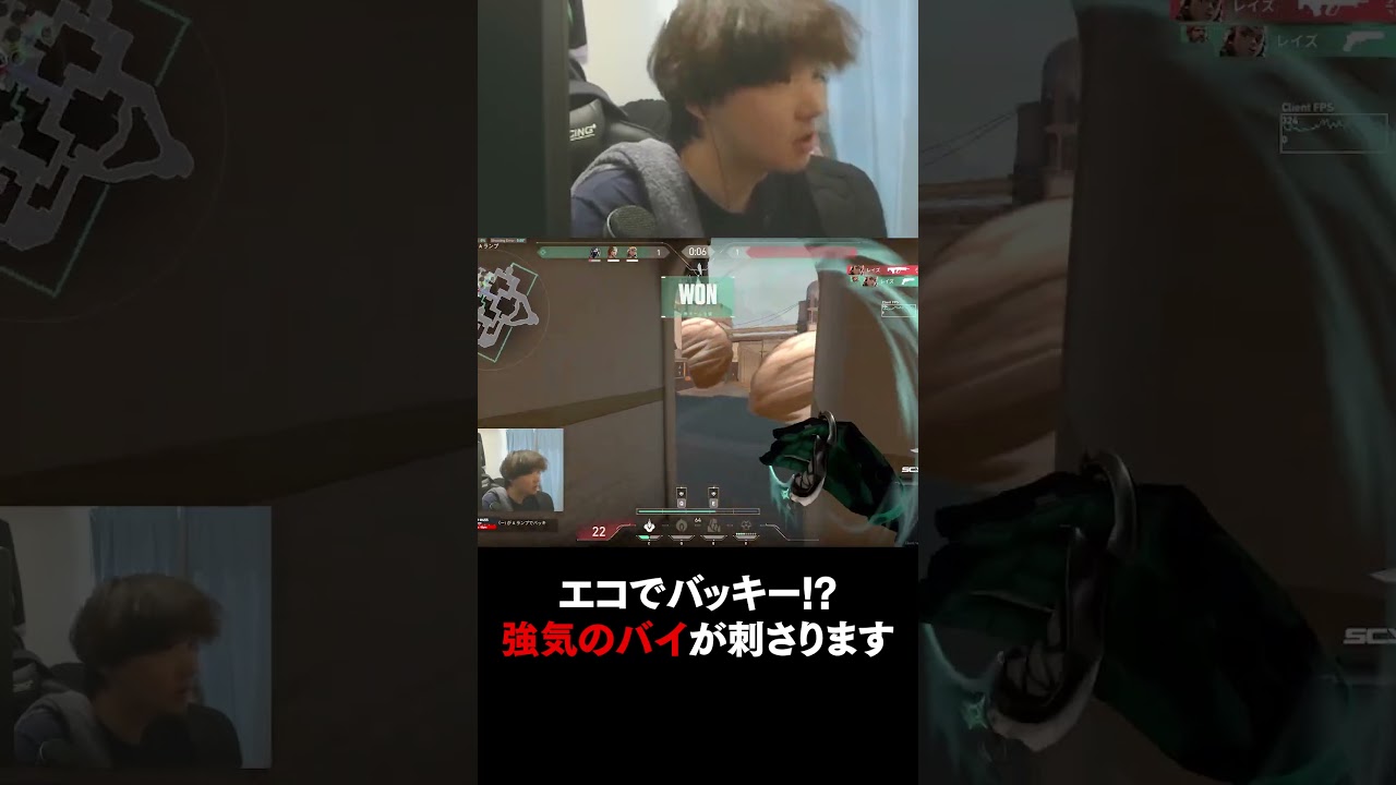 マネーきつくてもバッキーを買う理由#shorts