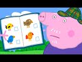 Peppa Pig Learns About Bird Watching Adventures With Peppa Pig