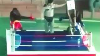 Download lagu Kata baba Hewan aneh versi onder sport mp3