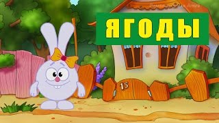 Ягоды. Развивающий мультфильм для детей. Обучающее видео Изучаем ягоды
