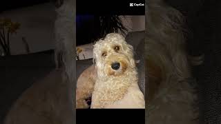 Download lagu watermelon Ella mp3