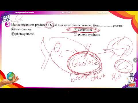 integrated sciences 1st term model exam 1 el moaaser book by mr tony 