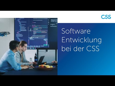 Software Entwicklung bei der CSS