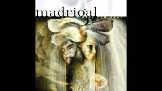 Madrigal - Mind In Disguise