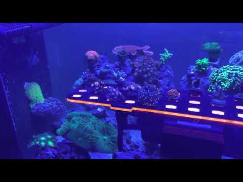 Waterbox peninsula 7225